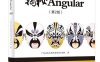 揭秘Angular（第2版）-作者：广发证券互联网金融技术团队-PDF电子书