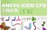 ANSYS ICEM CFD工程实例详解-作者: 胡坤 / 李振北-PDF电子书