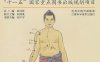 中医经络穴位-作者：胡军平-PDF电子书
