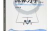 我所理解的流体力学(第2版)Fluid Mechanics as I Understand It-作者: 王洪伟-PDF电子书