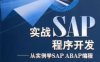 实战SAP程序开发 从实例学SAP ABAP编程-作者: 王宏-PDF电子书