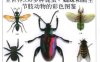 昆虫  全世界550多种昆虫、蜘蛛和陆生节肢动物的彩色图鉴-作者: 麦加文-PDF电子书