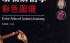 动物解剖学彩色图谱-作者: 陈耀星-PDF电子书