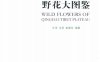 青藏高原野花大图鉴-作者：牛洋、王辰、彭建生-PDF电子书