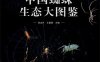 中国蜘蛛生态大图鉴-作者: 张志升-PDF电子书