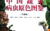 中国蔬菜病虫原色图鉴-作者：吕佩珂，苏慧兰，李明远等-PDF电子书