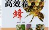 高效养蜂-作者: 张中印-PDF电子书