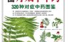 中国疗效中草药320种对症中药图鉴-作者: 郝娅-PDF电子书