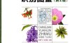 常见园林植物识别图鉴-作者：吴棣飞 尤志勉-PDF电子书