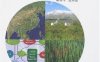 中国近海与湖泊碳的生物地球化学-PDF电子书