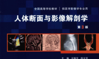 人体断面与影像解剖学-作者: 徐文坚 / 王振宇-PDF电子书