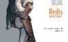 Redis 实战-作者: Josiah L. Carlson-PDF电子书