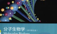 分子生物学(原书第5版) -作者: Robert F. Weaver-PDF电子书