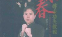 咏春搏击功夫教程-作 者：舒建臣-PDF电子书