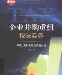 企业并购重组税法实务 原理、案例及疑难问题剖析-作者: 雷霆-PDF电子书