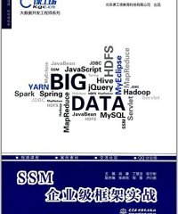 SSM企业级框架实战-作者: 肖睿 / 丁慧洁 / 张宁彬-PDF电子书