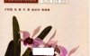 世界栽培兰花百科图鉴 300余属，1800余种及品种-PDF电子书