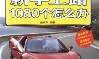 新手上路1080个怎么办-作 者：庞永华-PDF电子书