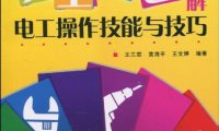 完全彩色图解电工操作技能与技巧彩印-作者: 王兰君//黄海平//王文婷-PDF电子书