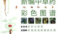 新编中草药彩色图谱-作者: 朱意麟//易蔚//黄克南-PDF电子书