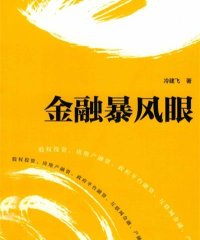 金融暴风眼-作者: 冷建飞-PDF电子书