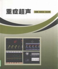 重症超声-刘大为，王小亭-PDF电子书