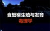 食蟹猴生殖与发育毒理学-作 者:周莉、孙祖越主-PDF电子书