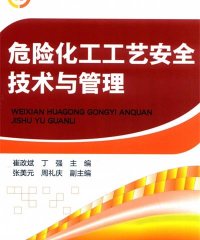 危险化工工艺安全技术与管理-作 者:崔政斌、丁强-PDF电子书